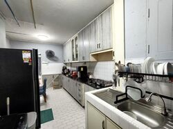 Blk 241 Hougang Heights (Hougang), HDB 3 Rooms #503472071